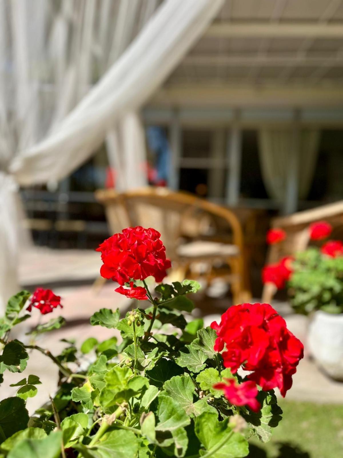 Hotel San Pietro Cervia Exterior foto